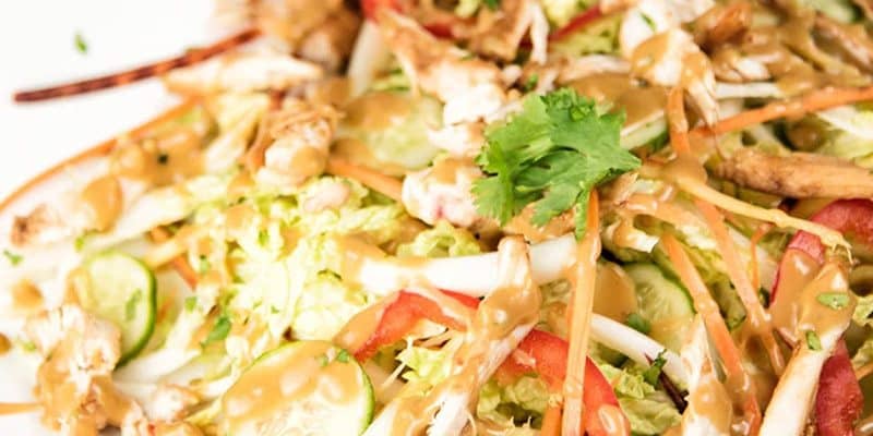 recipe-roundup-chicken-cabbage-salad-almond-butter-dressing