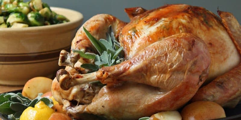 recipe-roundup-turkey-sage